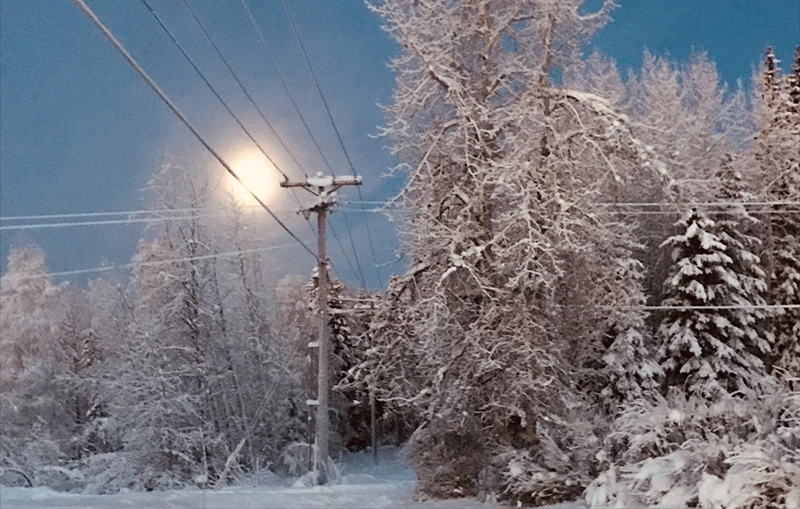 Utility pole in the winter in Alaska