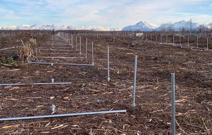 AEA Invests in Houston Solar Farm