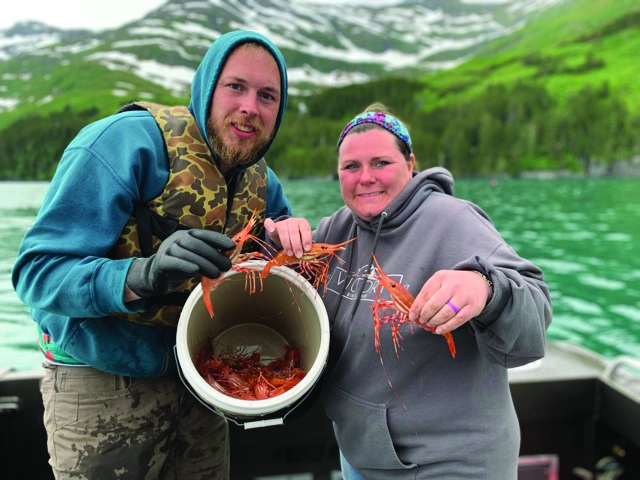 man and woman catching shrimp in alaska