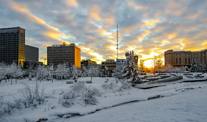 fairbanks in winter