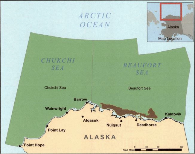 Arctic nearshore BOEM