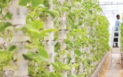 Collaboration to Strengthen Alaska’s Food Economy