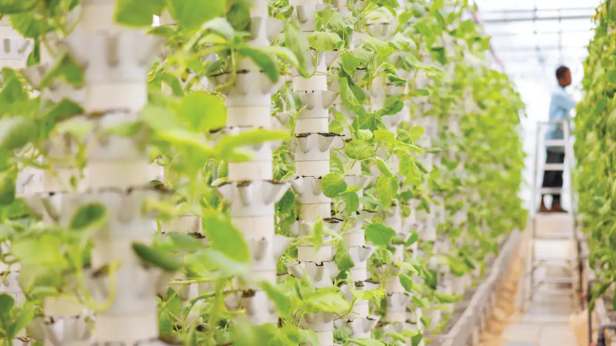 Collaboration to Strengthen Alaska’s Food Economy