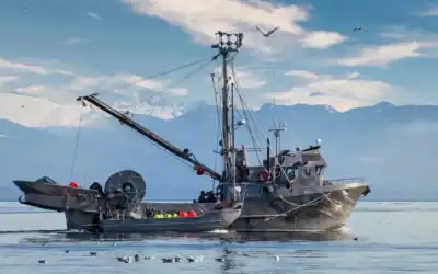 Fisheries Insurance, Vessel Registration Bills Become Law