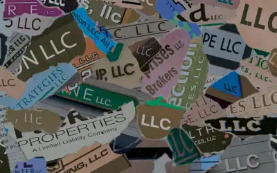 LLCs: Limitless Potential of Limited Liability