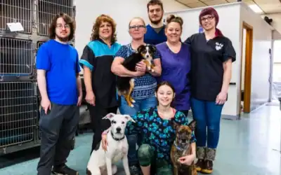 Eagle River Pet Business Grows Thanks to Customer Loyalty and Support from ‘My People’