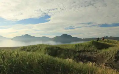 Aleut Grows in the Birthplace of Winds