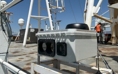 Matson Deploys Whale Spotting Technology to Avoid Ship Strikes