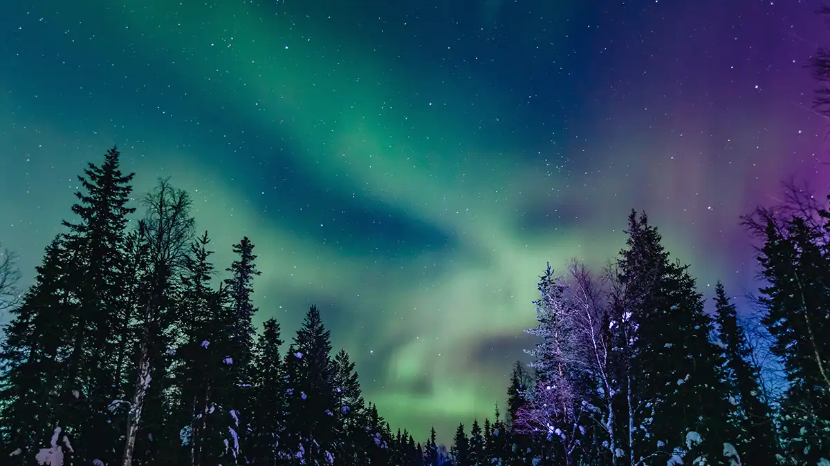 2026 Alaska Business Hall of Fame