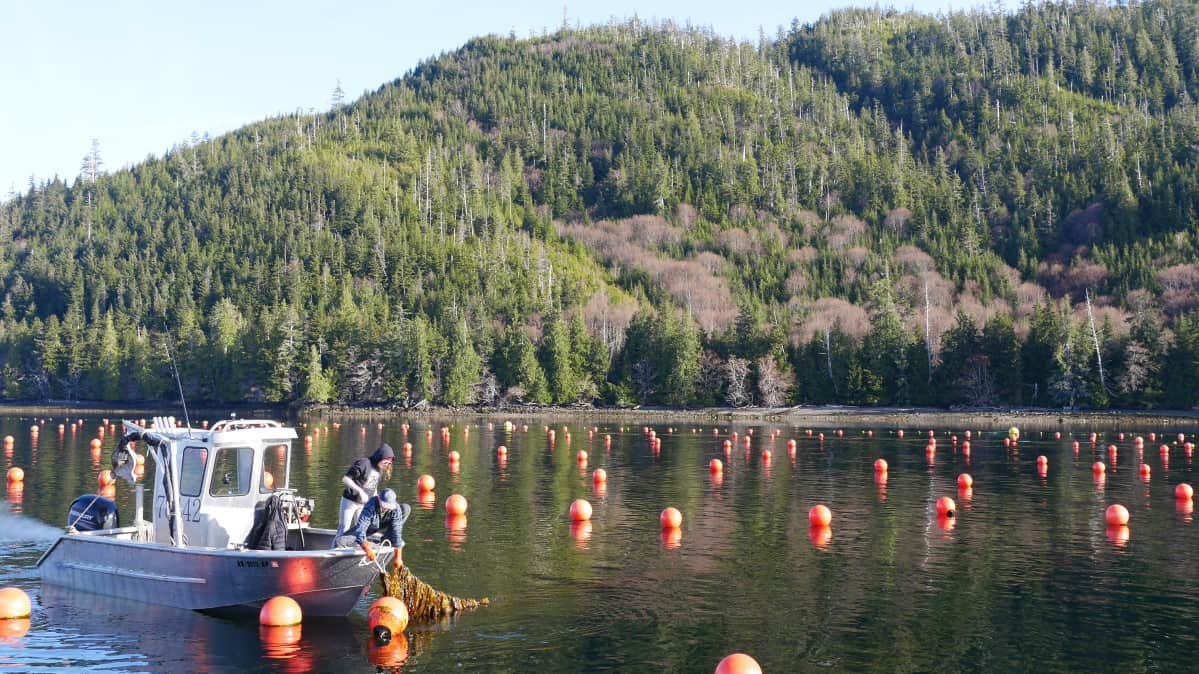 Atlas of Aquaculture Opportunity Areas Balances Shared Ocean Resources